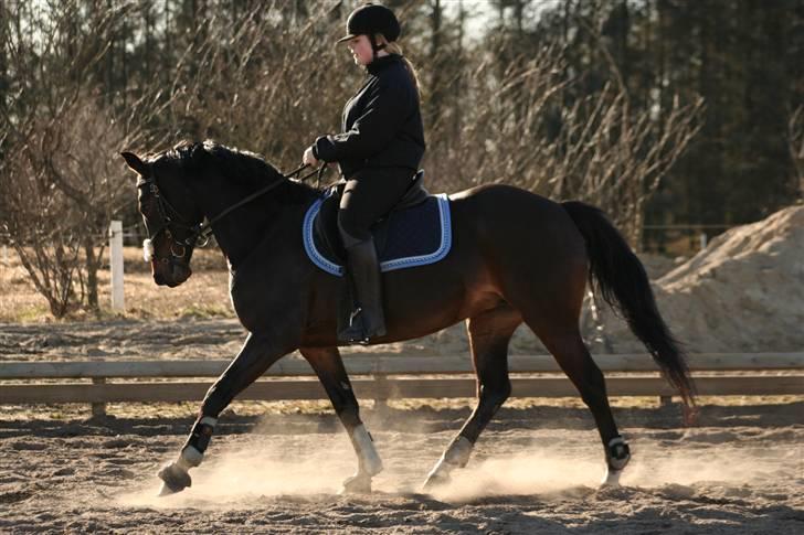 Anden særlig race Monty <3  - Monty med hendes første roset :)= ....-Fotograf * søs (camilla thomsen) billede 2