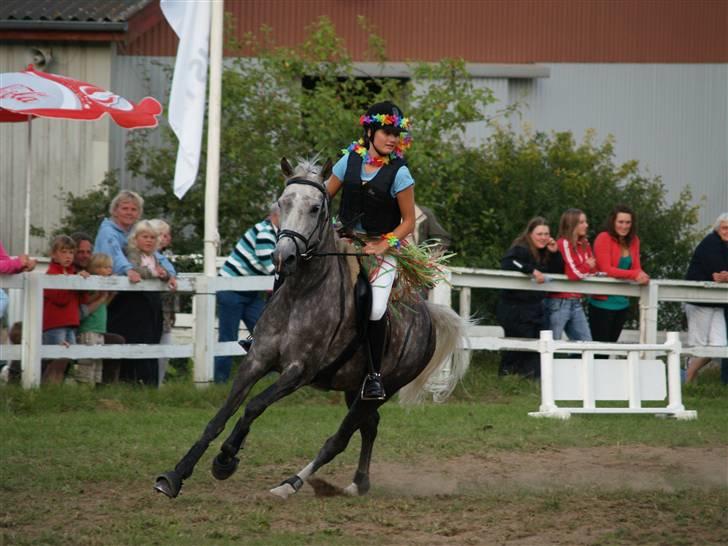 Hollandsk Sportspony Kaylin - SOLGT  - jysk rideuge 2007 i holdstaffet :D billede 9