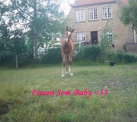 Oldenborg Fie <33 † - Årh , Hun er bare dejlig på det billede . Tak til Hans H. For dette billede <33 billede 17