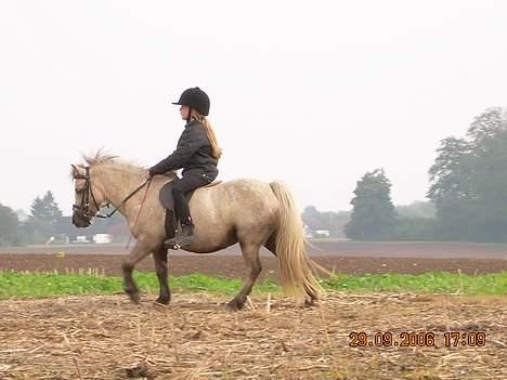 Anden særlig race Stella<3 - så rider vi! billede 2