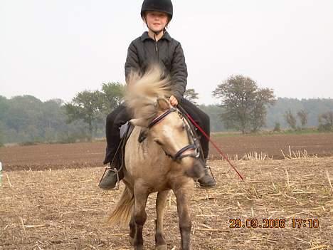 Anden særlig race Stella<3 - RYSTE RYSTE RYSTE! billede 3