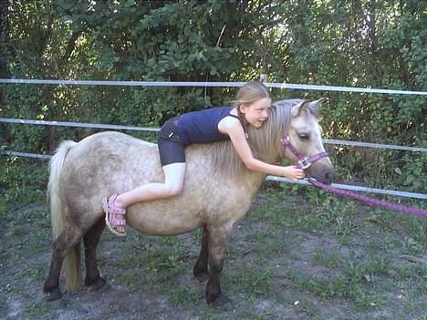 Anden særlig race Stella<3 - Sommerhygge! billede 4