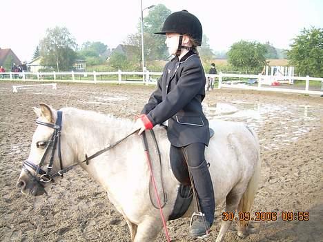 Anden særlig race Stella<3 - Til stævne! billede 8