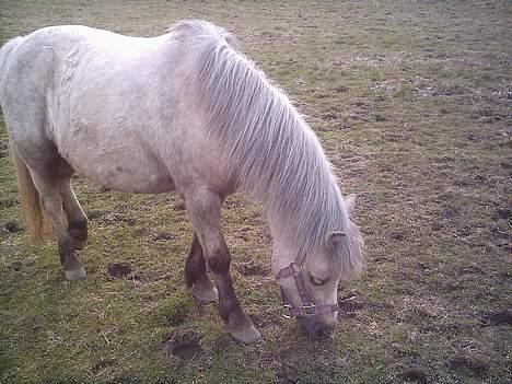 Anden særlig race Stella<3 - Gumle gumle............... billede 9