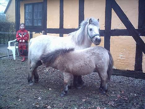 Anden særlig race Stella<3 - "yume yume masser af mælk moar" billede 12