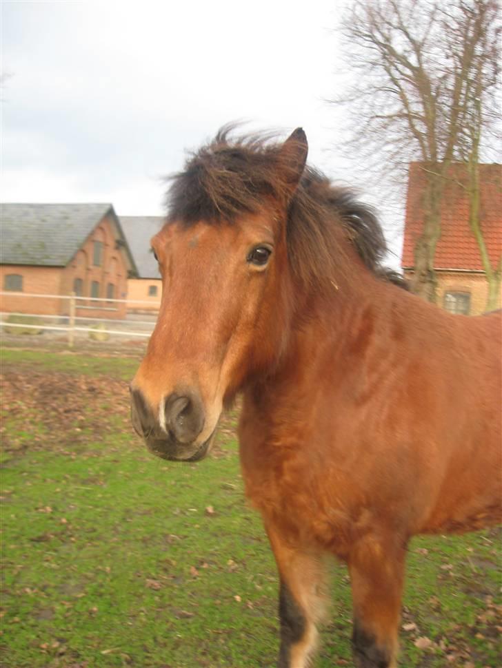 Anden særlig race ''Felix''†RIP† - Felix <3333 *NYT* billede 1