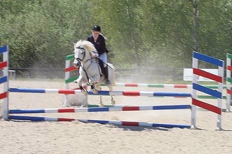 Welsh Partbred (Sec F) Emdegårdens Herculessolgt - #10 Mig & Hercules, til stævne (: . LB. billede 10