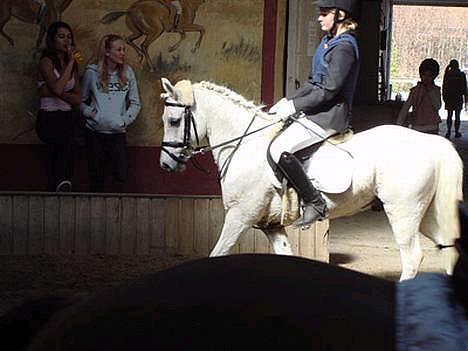 Welsh Partbred (Sec F) Emdegårdens Herculessolgt - #11 Hercules & mig, til vores første springstævne :b  billede 11