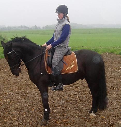 Anden særlig race Dark shadow - Dark shadow <3 billede 1