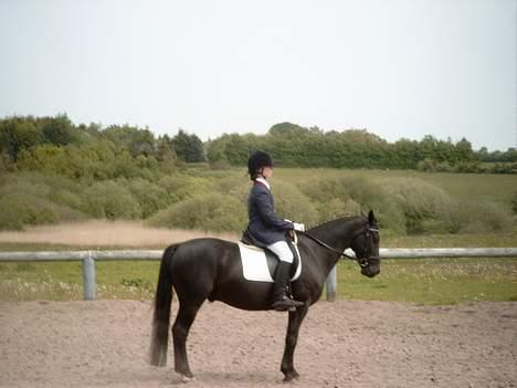 Anden særlig race Dark shadow - Nr.3 i lc3 <3:D billede 4