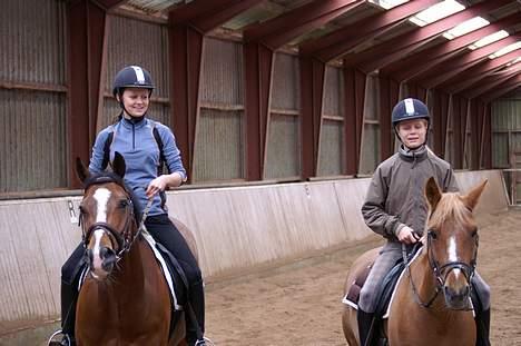Anden særlig race Highlands Martinique - Mig på Media og lillesøster på Martin. billede 6