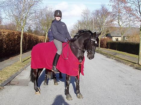 Anden særlig race Dark shadow - På tur :P billede 13