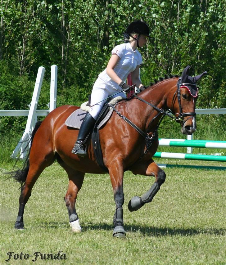 Oldenborg Fie <33 † - Smukkeste hest <3  En af de sidste dage i april <3 billede 18