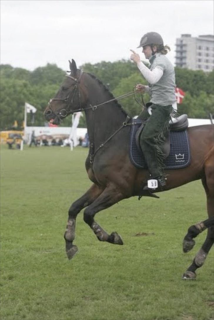 Dansk Varmblod Højbo´s Chana - 13) Chana til dyrskue 2010 - gallashow som cowboy billede 13