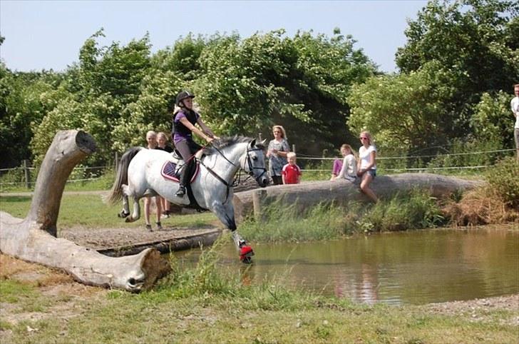 Anden særlig race Houdini ~ Solgt /: - mig og houdini på ride lejer  billede 2
