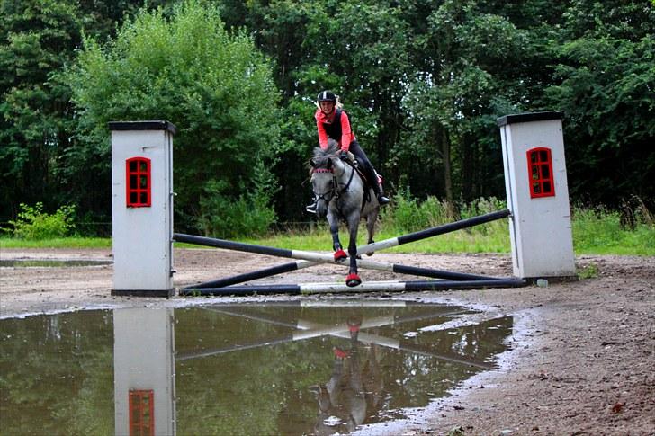 Anden særlig race Houdini ~ Solgt /: - Sping i vand :D Foto: DBR billede 5