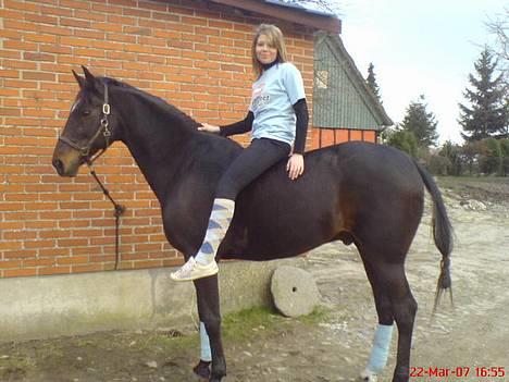 Traver Tass Fogedgård(SOLGT) - tass & mig, efter ride tur - du dejlig hest :D <3 billede 9