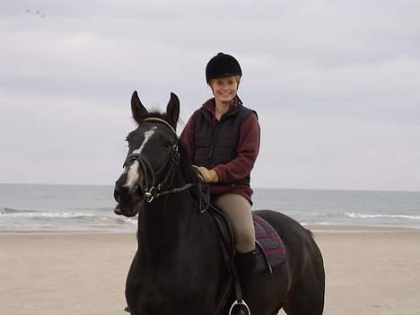 Anden særlig race Patrick billede 4