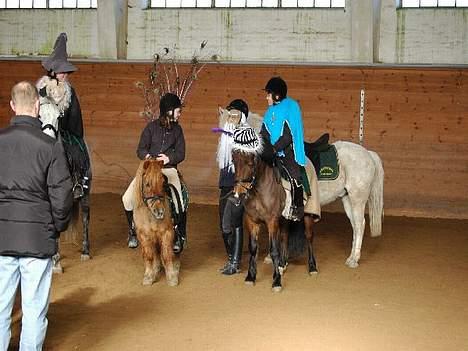 Anden særlig race Lotte R.I.P - i det blå. hvor er de søde :) billede 11