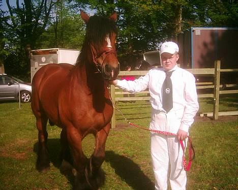 Belgier Sabrina *DØD* - 19-05-2007 Fjerritslev dyrskue. Resultat 22 point billede 7