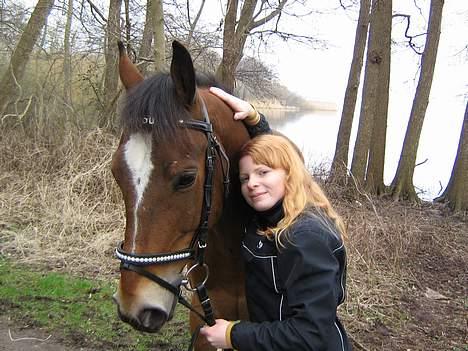 Anden særlig race Mirou *Solgt* - Min dejlige hest... billede 7