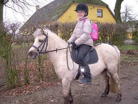 Anden særlig race Stella<3 - Hjemme i indkørslen:D billede 15