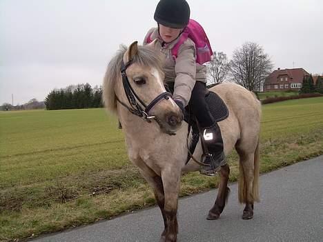 Anden særlig race Stella<3 - "halløjsa sikke noget spændene noget derovre!" billede 16