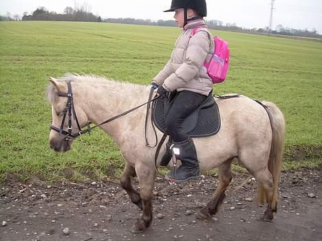 Anden særlig race Stella<3 - Riderideranke................. billede 17