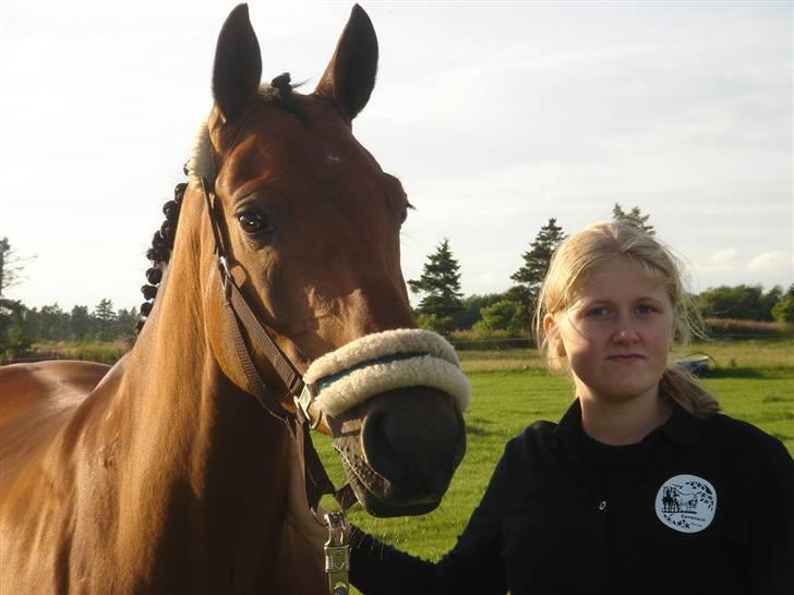 Dansk Varmblod Camina Alsidig Solgt  - Heej velkommen, til Caminas profil, jeg elsker hende, hun er alt. :her er vi til et stæbne i Hodsager d. 5/7-07<33 billede 1