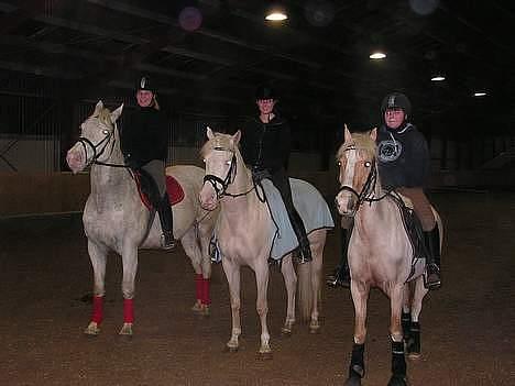 Knabstrupper Coco´s Vladirmir*SOLGT* - Fra venstre: Karen og Vladimir, Karoline og Ricko, Mig og Nuggi.. :) billede 1