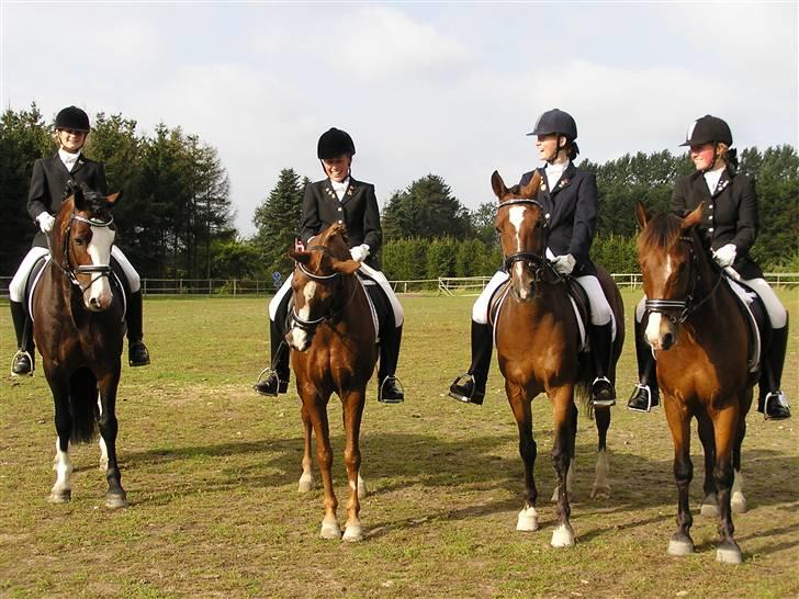 Tysk Sportspony Magic   - DM holdet i ringsted Thea Maccoy Katrine Thor B, Mikkala Magic & Nanna Snøvs vi blev nr 14 men vi havde en vild god oplevelse:D billede 2