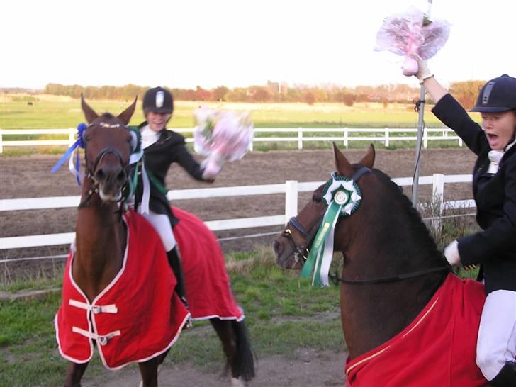Tysk Sportspony Magic   - Så stikker Kashmir && Magic af på fuldedørn så Mig && Joy måttte smide Blomster og det heele:D billede 4