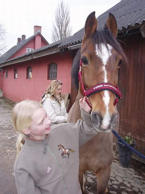 Tysk Sportspony Magic   - Nogle der sagde Magic                   (Fotograf ~Nete&Sanne~ ) billede 5