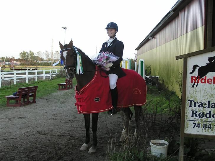 Tysk Sportspony Magic   - Guffe & Jeg:D vi red samlet 68,57% og jeg red 2 PRI-04 til 68,57% && 69,85%:D billede 11