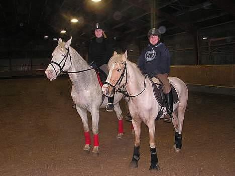 Palomino Nuggi Stauslykke Solgt  - Karen, Vladimir, Mig og Nuggi.. <3 billede 6