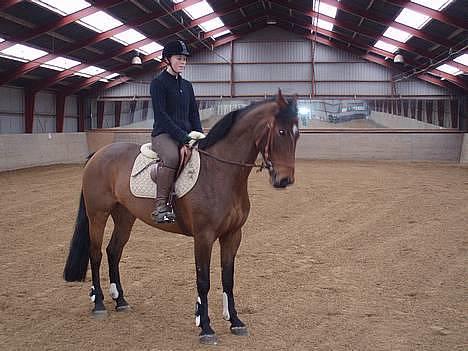 Holstener Lindegaardens Camilla  billede 2