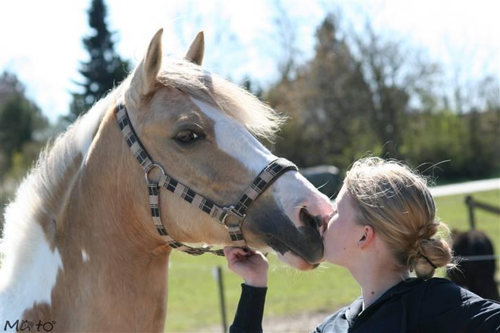 Anden særlig race Shy Lady - 15) Elsker dig <3 Foto: MATO billede 14