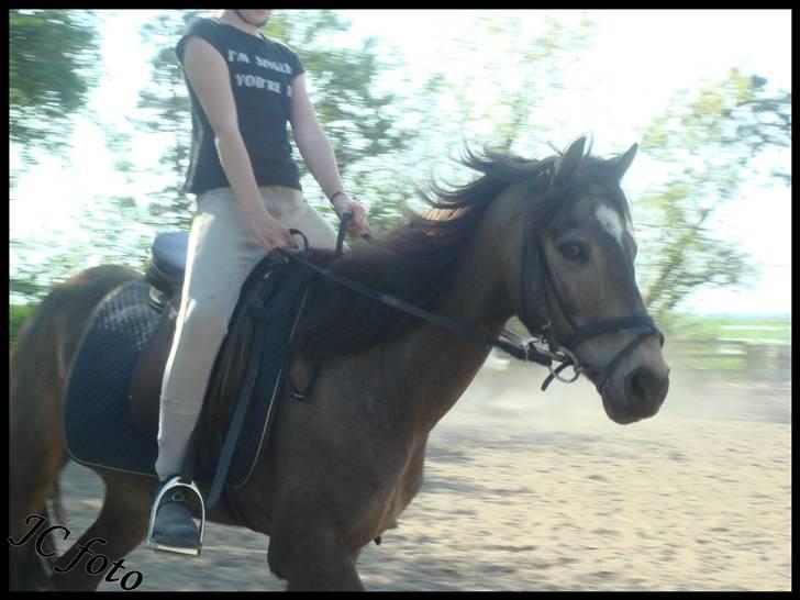 Anden særlig race Moonlight Skovly †R.I.P† - hehe vi er da for gode billede 3