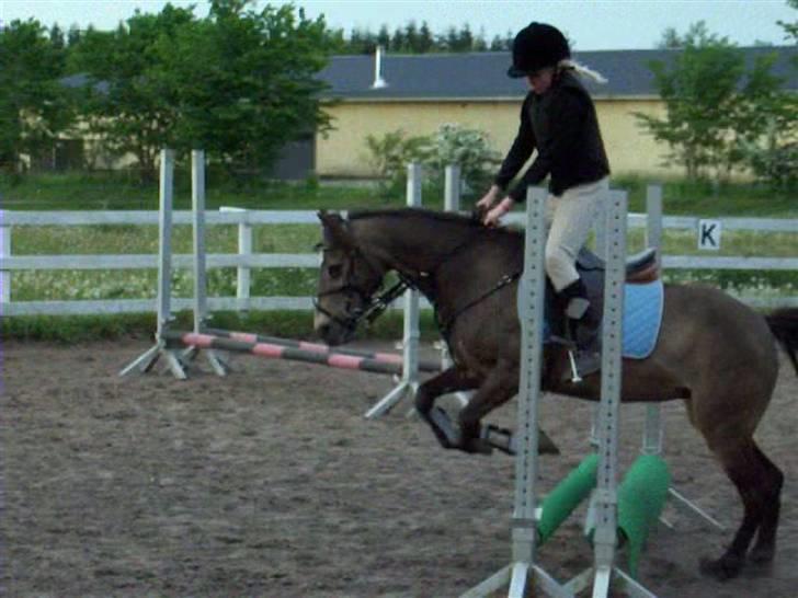 Anden særlig race Moonlight Skovly †R.I.P† - et rigtig godt spring:) billede 5