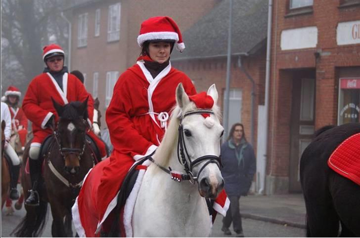 New Forest Firfod Aida - Juleoptog til Glumsø! billede 4