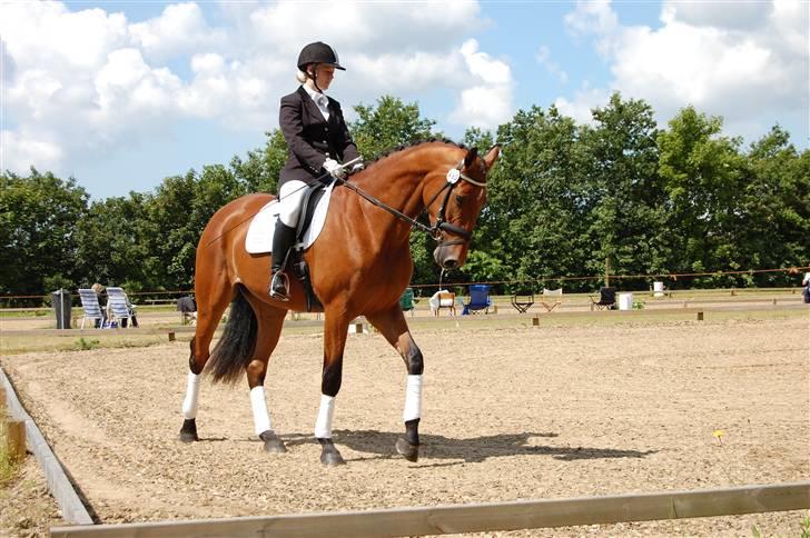 Dansk Varmblod Højgårds Shakira - Helle og Shakira, på opvarmningen til sadelkåringen. Foto: MLH-foto billede 16