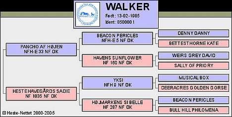 New Forest Walker - Walker´s stamtavle .. :b billede 20