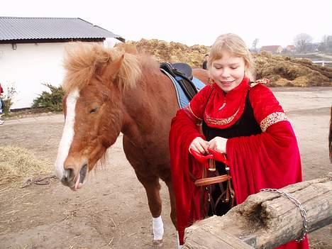 Anden særlig race Walker - VSR - Fastelavn - Lidt sjovt udtryk xD billede 19