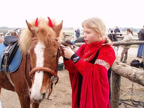 Anden særlig race Walker - VSR - Min lille djævlehest xD billede 20