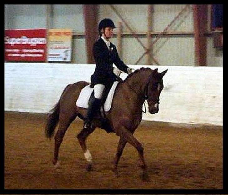 DSP Nørlunds Ascari  - Pri i Nørre åby :)  billede 20