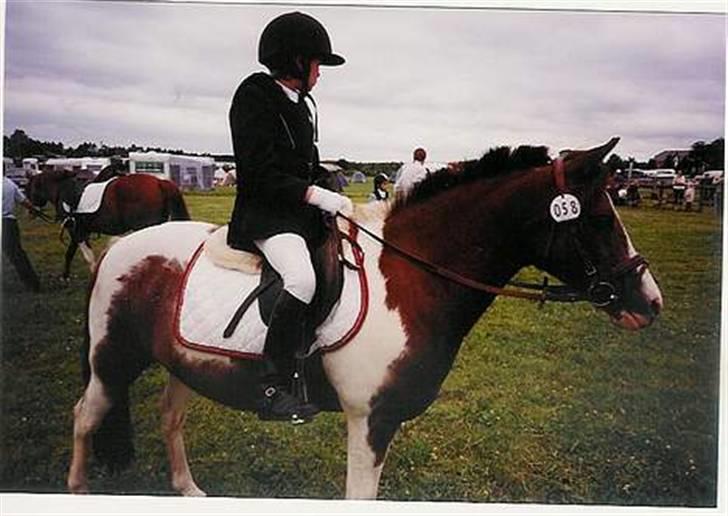 Pinto Don Ibrahim. - Venter på kassen er færdig, så vi kan få præmien :D billede 16