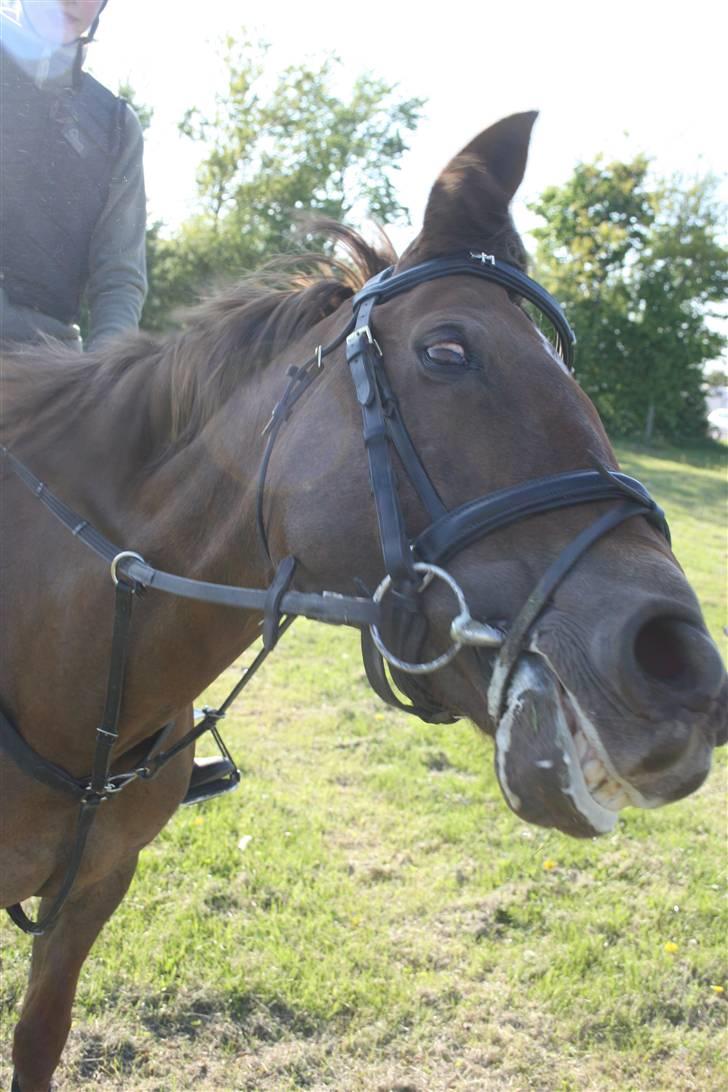 DSP Mia<3 solgt - nej Mia dine tænder er ikk kønne(: og dine øjne?? billede 2