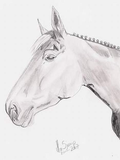 Dansk Varmblod Liberty Lady-Hvil i fred - Har fået hende tegnet. Tusind tak for tegningen. Den er rigtig flot syntes jeg billede 15