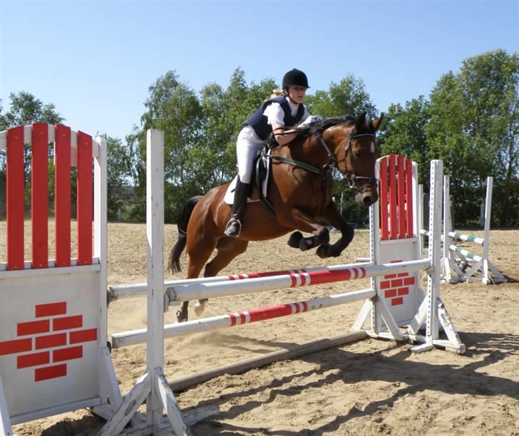 Standardbred Good As Perfect - Klubstævne - spring 90 cm. :D (foto: Pia L/kamera) billede 2