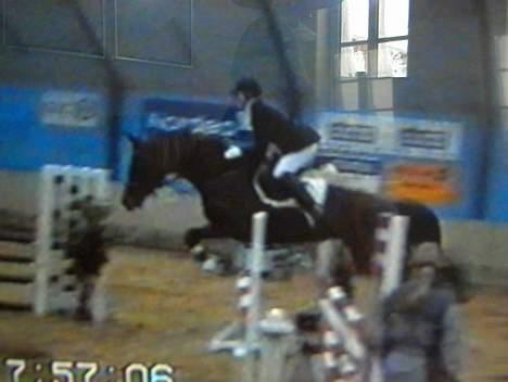 Dansk Varmblod Dinétt Stengaard *SOLGT* - billede taget af video. billede 13